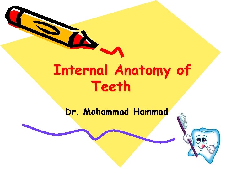 Internal Anatomy of Teeth Dr. Mohammad Hammad 