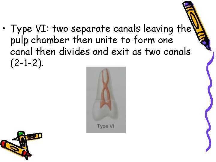  • Type VI: two separate canals leaving the pulp chamber then unite to