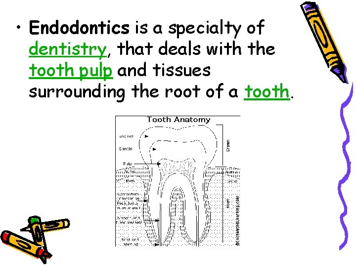 • Endodontics is a specialty of dentistry, that deals with the tooth pulp