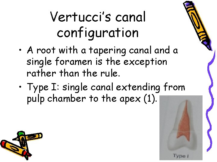 Vertucci’s canal configuration • A root with a tapering canal and a single foramen
