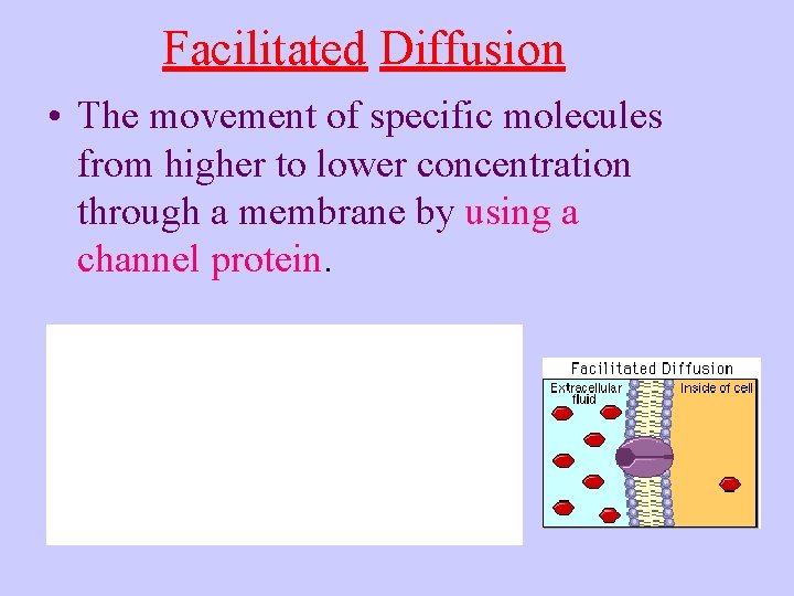 Facilitated Diffusion • The movement of specific molecules from higher to lower concentration through