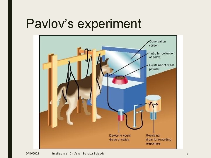 Pavlov’s experiment 9/10/2021 Intelligence - Dr. Arnel Banaga Salgado 31 