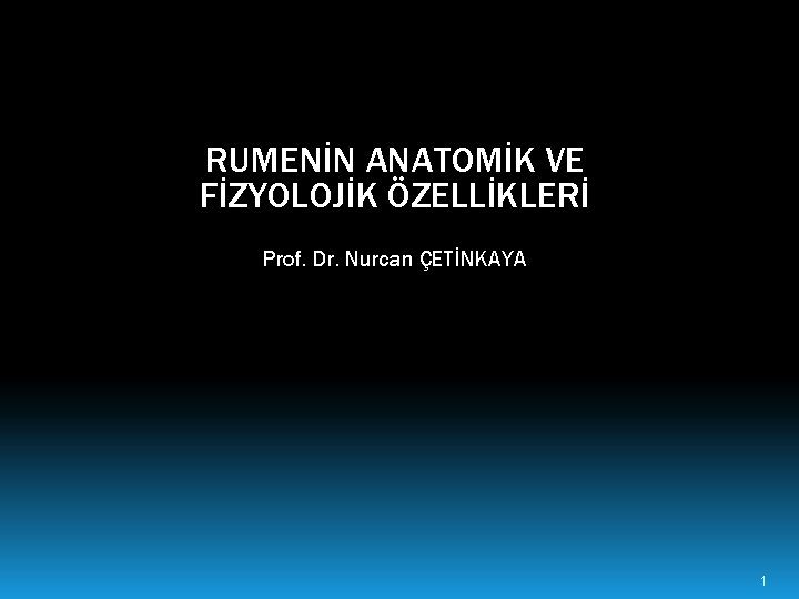 RUMENİN ANATOMİK VE FİZYOLOJİK ÖZELLİKLERİ Prof. Dr. Nurcan ÇETİNKAYA 1 