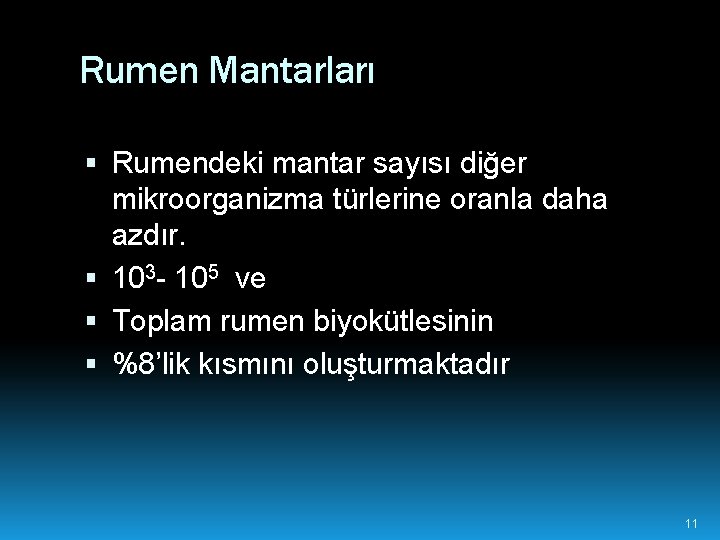 Rumen Mantarları Rumendeki mantar sayısı diğer mikroorganizma türlerine oranla daha azdır. 103 - 105