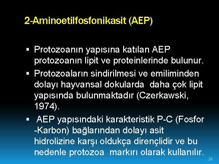 2 -Aminoetilfosfonikasit (AEP) Protozoanın yapısına katılan AEP protozoanın lipit ve proteinlerinde bulunur. Protozoaların sindirilmesi