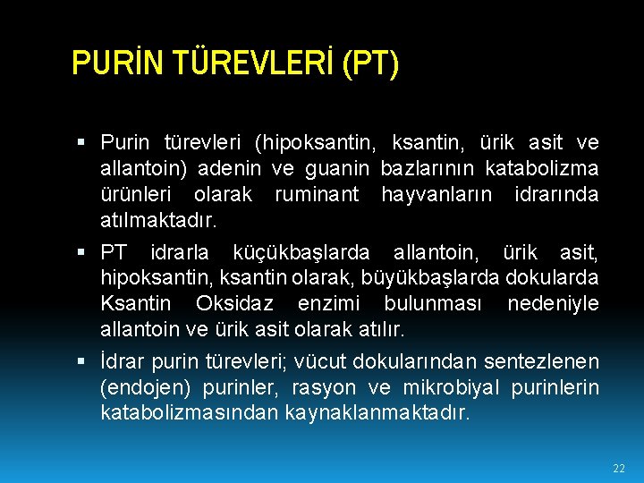 PURİN TÜREVLERİ (PT) Purin türevleri (hipoksantin, ürik asit ve allantoin) adenin ve guanin bazlarının