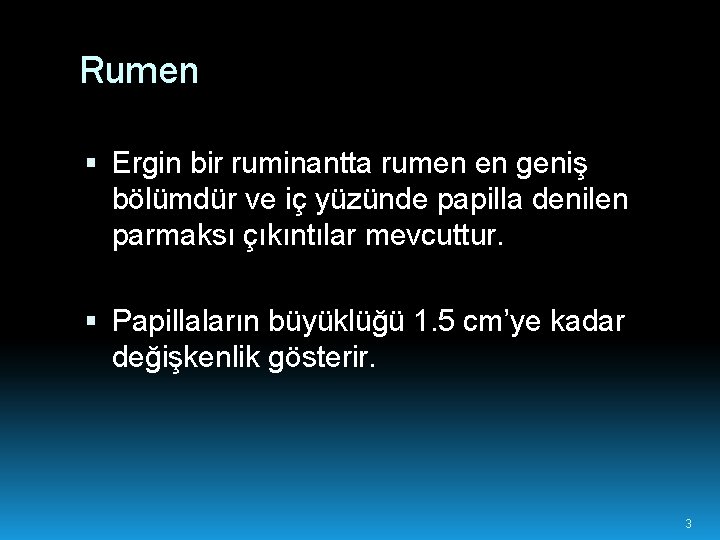 Rumen Ergin bir ruminantta rumen en geniş bölümdür ve iç yüzünde papilla denilen parmaksı