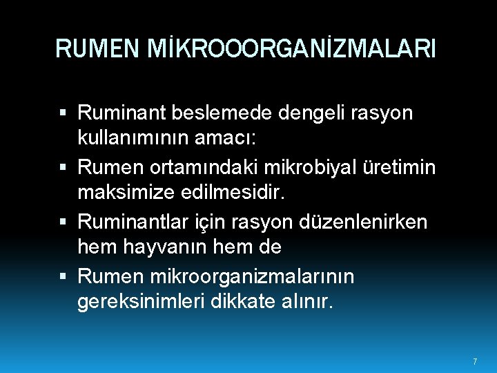 RUMEN MİKROOORGANİZMALARI Ruminant beslemede dengeli rasyon kullanımının amacı: Rumen ortamındaki mikrobiyal üretimin maksimize edilmesidir.