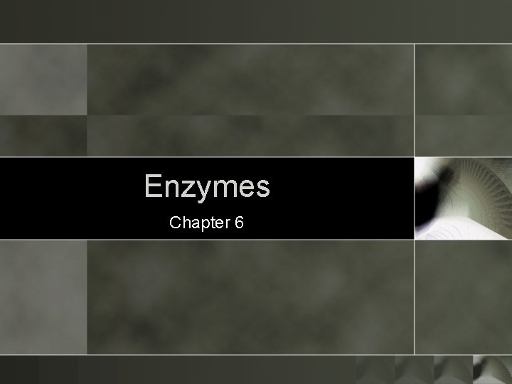 Enzymes Chapter 6 