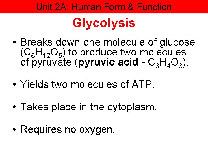 Unit 2 A: Human Form & Function Glycolysis • Breaks down one molecule of
