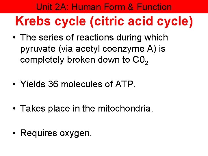 Unit 2 A: Human Form & Function Krebs cycle (citric acid cycle) • The