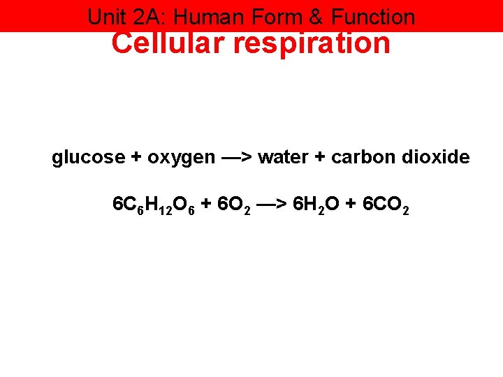 Unit 2 A: Human Form & Function Cellular respiration glucose + oxygen —> water