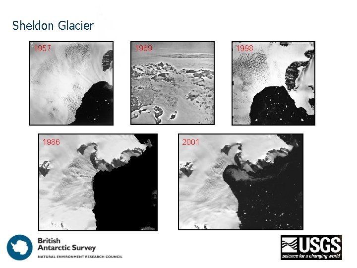 Sheldon Glacier 1957 1986 1969 1998 2001 