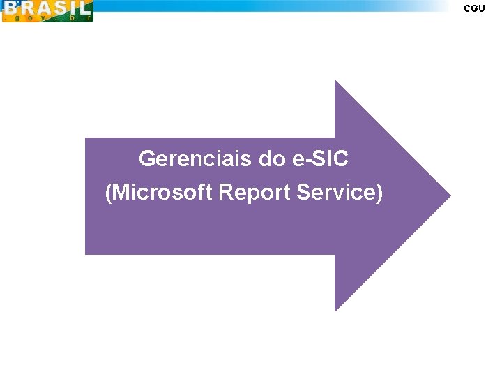 CGU Informações Gerenciais do e-SIC (Microsoft Report Service) 