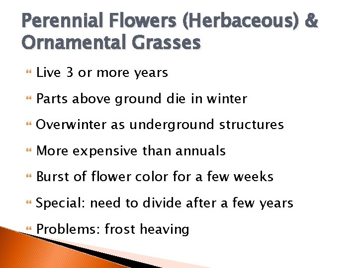 Perennial Flowers (Herbaceous) & Ornamental Grasses Live 3 or more years Parts above ground