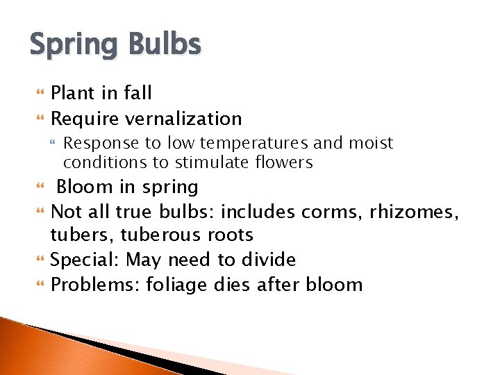 Spring Bulbs Plant in fall Require vernalization Response to low temperatures and moist conditions