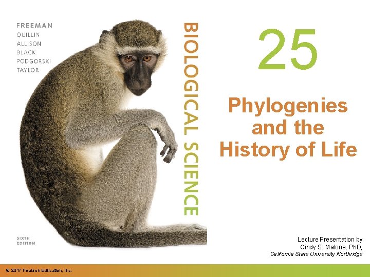 25 Phylogenies and the History of Life Lecture Presentation by Cindy S. Malone, Ph.