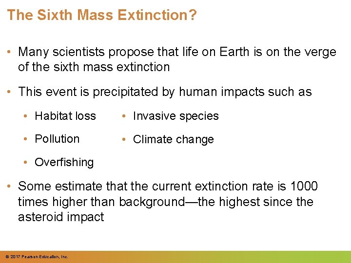 The Sixth Mass Extinction? • Many scientists propose that life on Earth is on