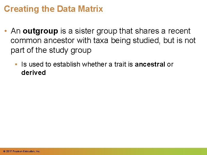 Creating the Data Matrix • An outgroup is a sister group that shares a