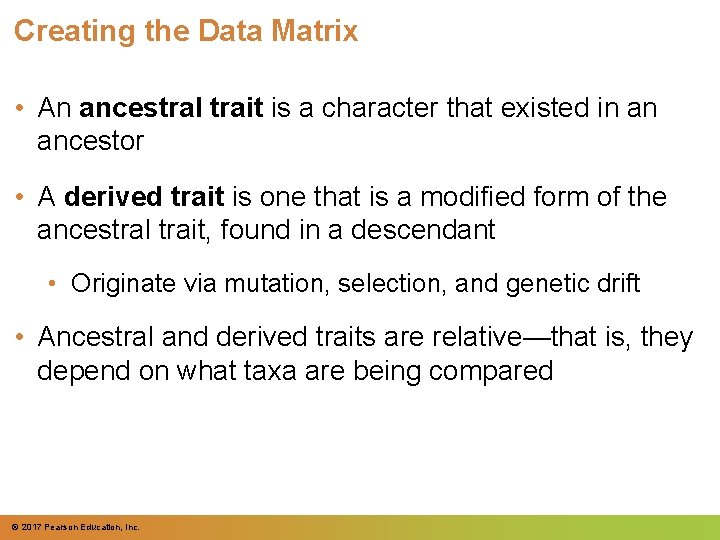 Creating the Data Matrix • An ancestral trait is a character that existed in