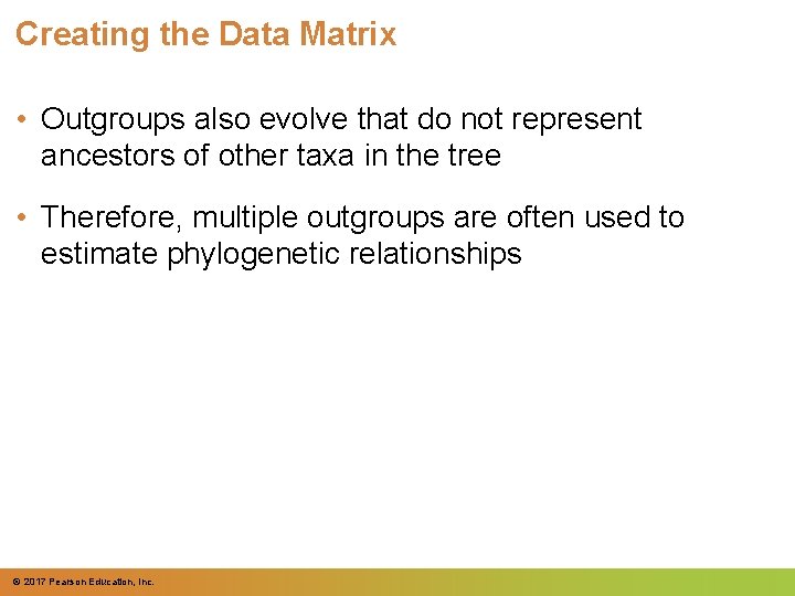 Creating the Data Matrix • Outgroups also evolve that do not represent ancestors of