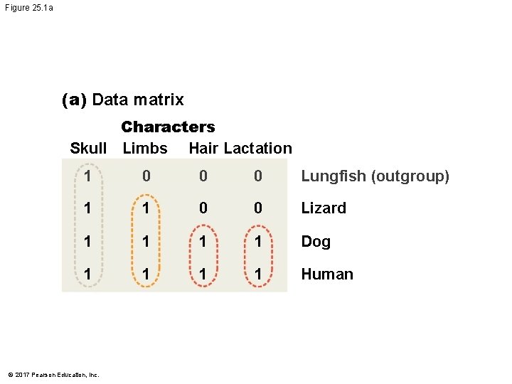 Figure 25. 1 a (a) Data matrix Characters Skull Limbs Hair Lactation 1 0