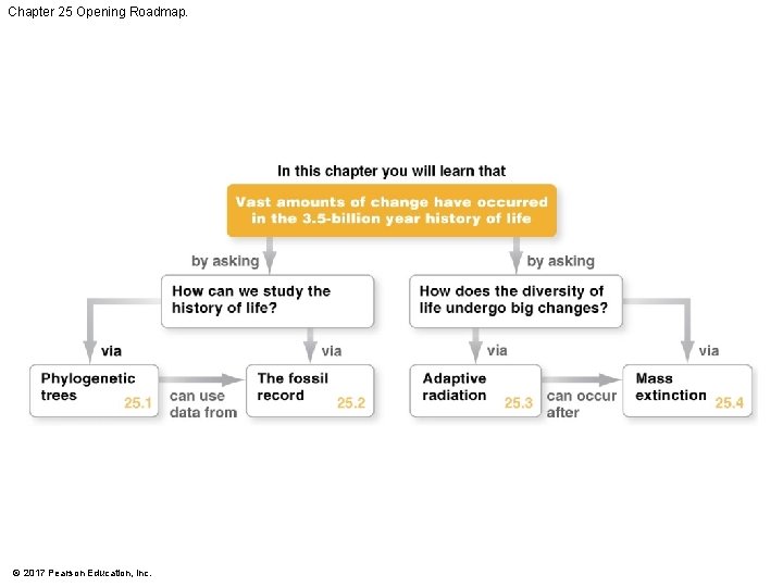 Chapter 25 Opening Roadmap. © 2017 Pearson Education, Inc. 