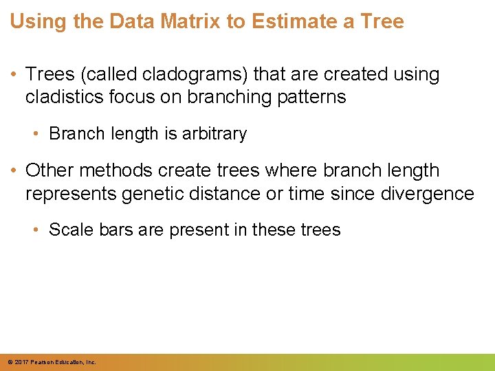 Using the Data Matrix to Estimate a Tree • Trees (called cladograms) that are