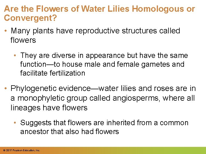 Are the Flowers of Water Lilies Homologous or Convergent? • Many plants have reproductive