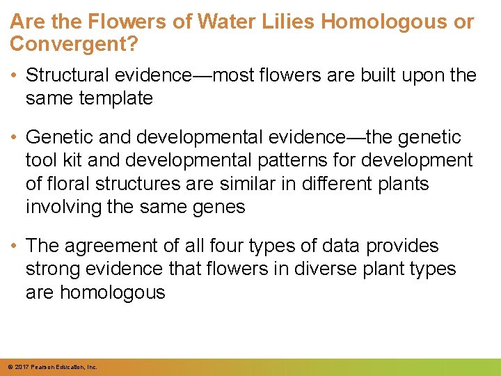 Are the Flowers of Water Lilies Homologous or Convergent? • Structural evidence—most flowers are