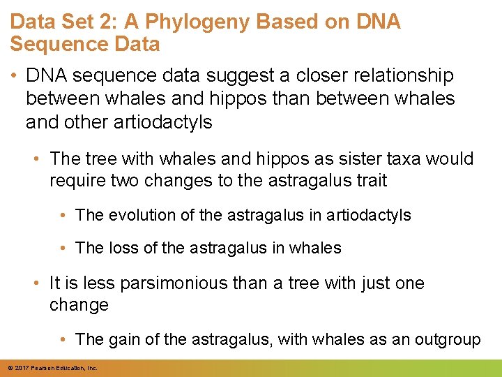 Data Set 2: A Phylogeny Based on DNA Sequence Data • DNA sequence data