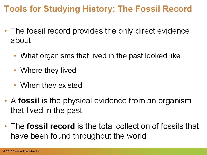 Tools for Studying History: The Fossil Record • The fossil record provides the only