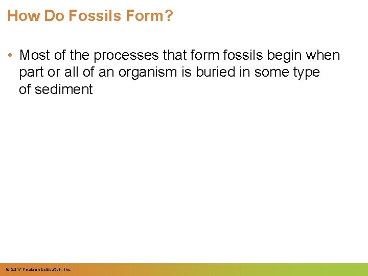 How Do Fossils Form? • Most of the processes that form fossils begin when