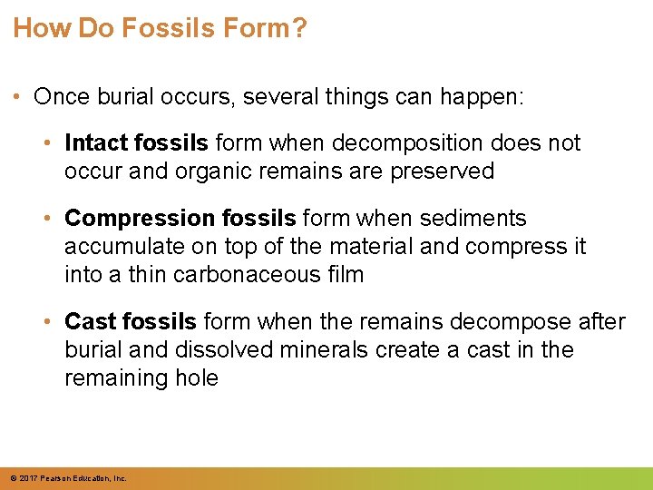 How Do Fossils Form? • Once burial occurs, several things can happen: • Intact