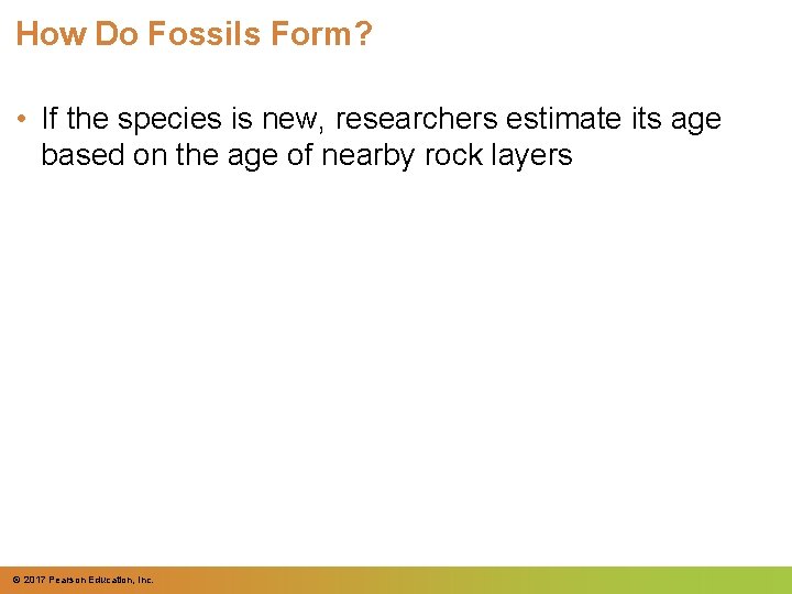 How Do Fossils Form? • If the species is new, researchers estimate its age