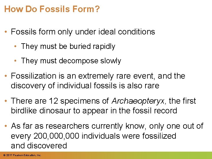 How Do Fossils Form? • Fossils form only under ideal conditions • They must