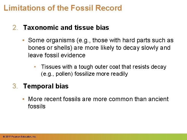 Limitations of the Fossil Record 2. Taxonomic and tissue bias • Some organisms (e.