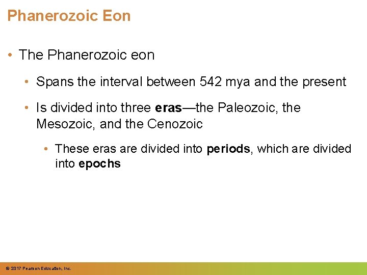 Phanerozoic Eon • The Phanerozoic eon • Spans the interval between 542 mya and