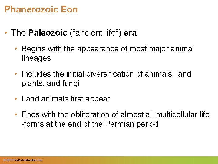 Phanerozoic Eon • The Paleozoic (“ancient life”) era • Begins with the appearance of