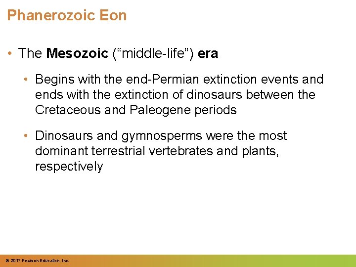 Phanerozoic Eon • The Mesozoic (“middle-life”) era • Begins with the end-Permian extinction events