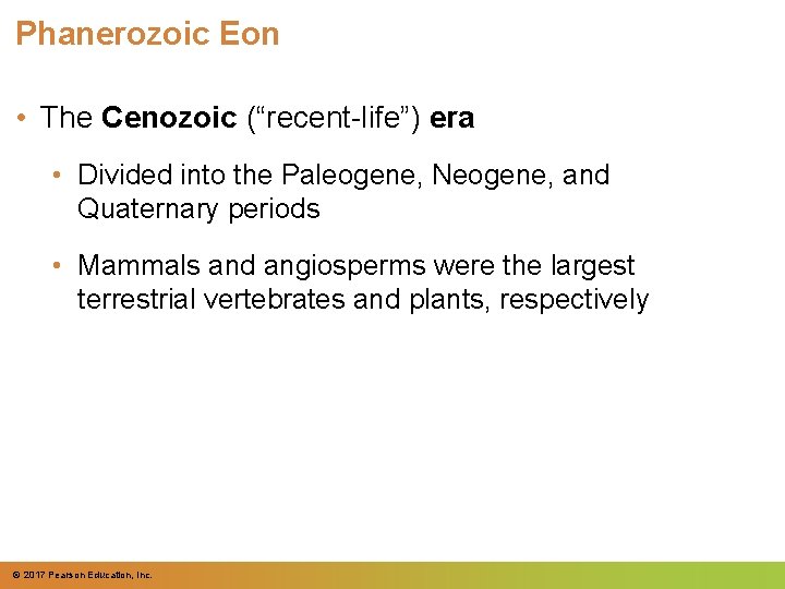Phanerozoic Eon • The Cenozoic (“recent-life”) era • Divided into the Paleogene, Neogene, and