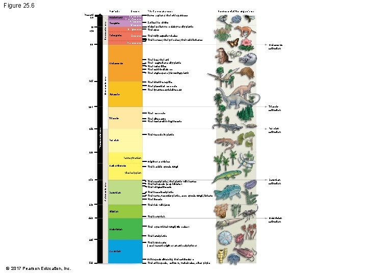 Figure 25. 6 Periods Cenozoic Era Present 2. 6 23 mya Epoch Holocene Quaternary