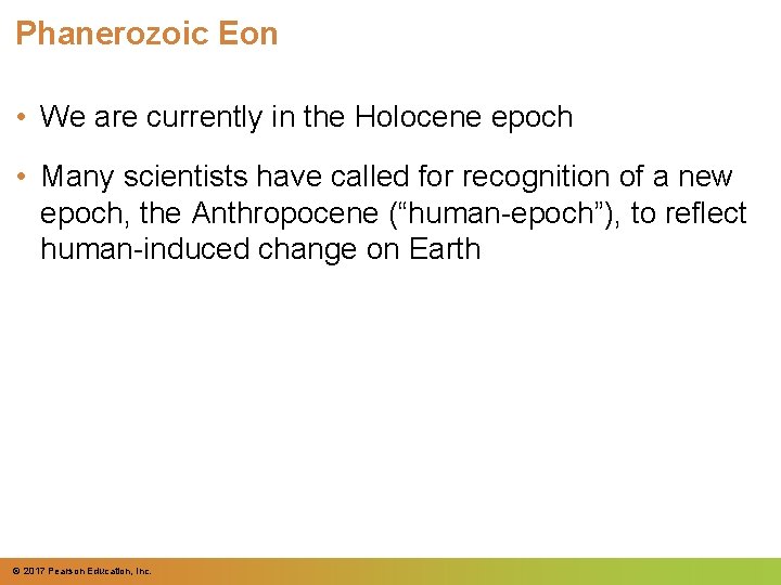 Phanerozoic Eon • We are currently in the Holocene epoch • Many scientists have