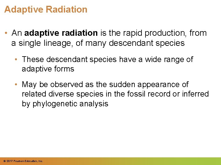 Adaptive Radiation • An adaptive radiation is the rapid production, from a single lineage,