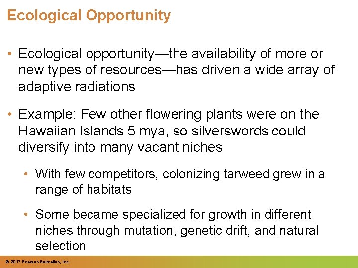 Ecological Opportunity • Ecological opportunity—the availability of more or new types of resources—has driven