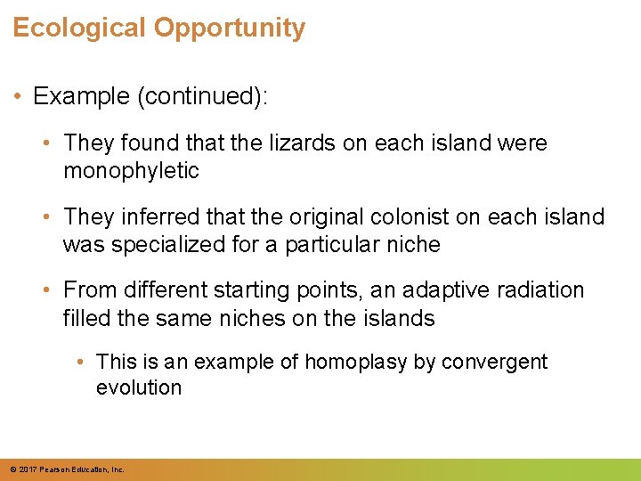 Ecological Opportunity • Example (continued): • They found that the lizards on each island