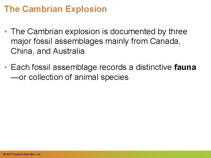 The Cambrian Explosion • The Cambrian explosion is documented by three major fossil assemblages