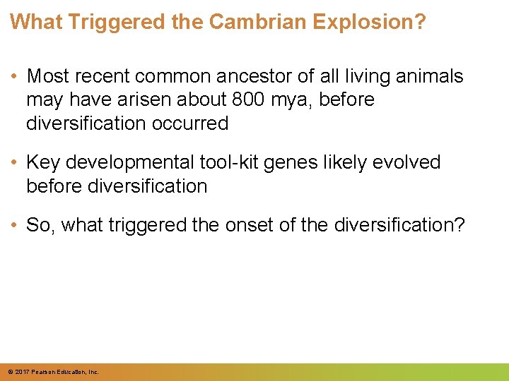 What Triggered the Cambrian Explosion? • Most recent common ancestor of all living animals