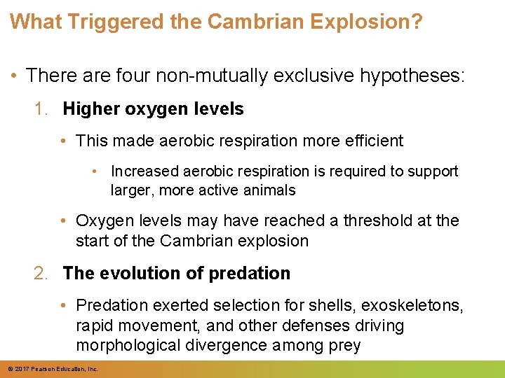 What Triggered the Cambrian Explosion? • There are four non-mutually exclusive hypotheses: 1. Higher