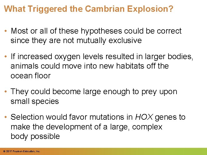 What Triggered the Cambrian Explosion? • Most or all of these hypotheses could be